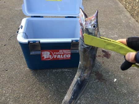 マイポイントで朝練